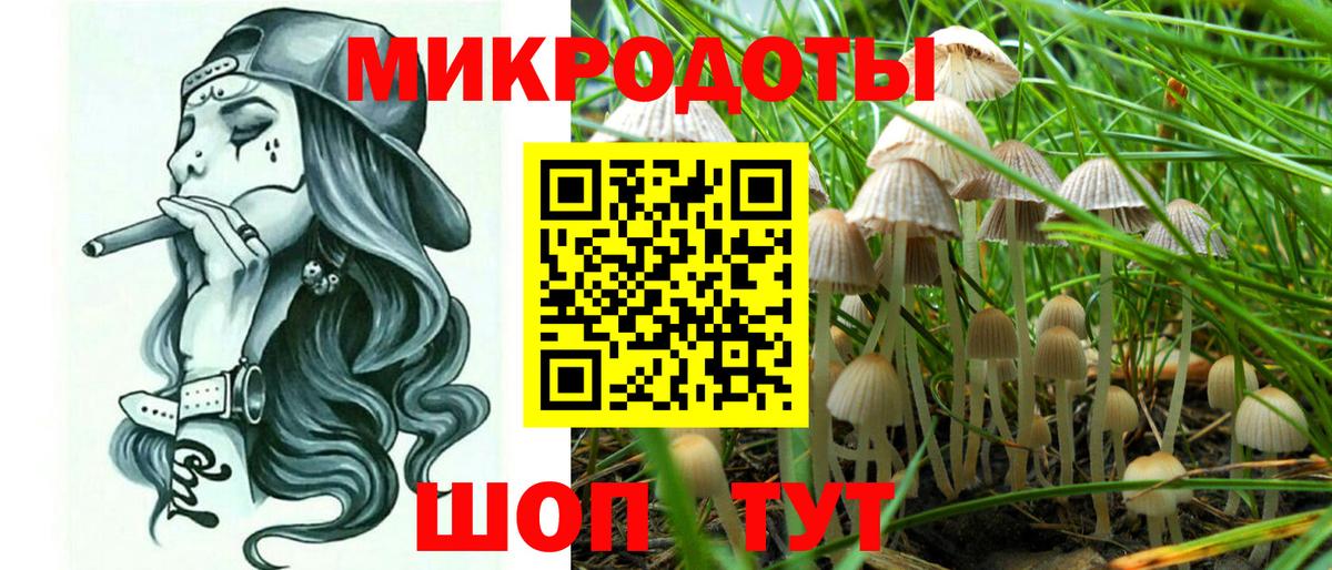 Ачинск  Псилоцибиновые грибы Psilocybine cubensis  Вход с VPN 